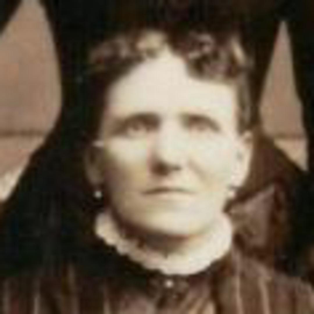Elizabeth Robb (1855 - 1923) Profile